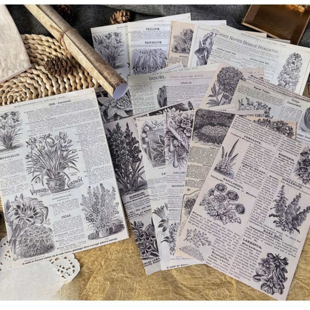 Echoes of the Archive Background Paper Set, 30 Sheets