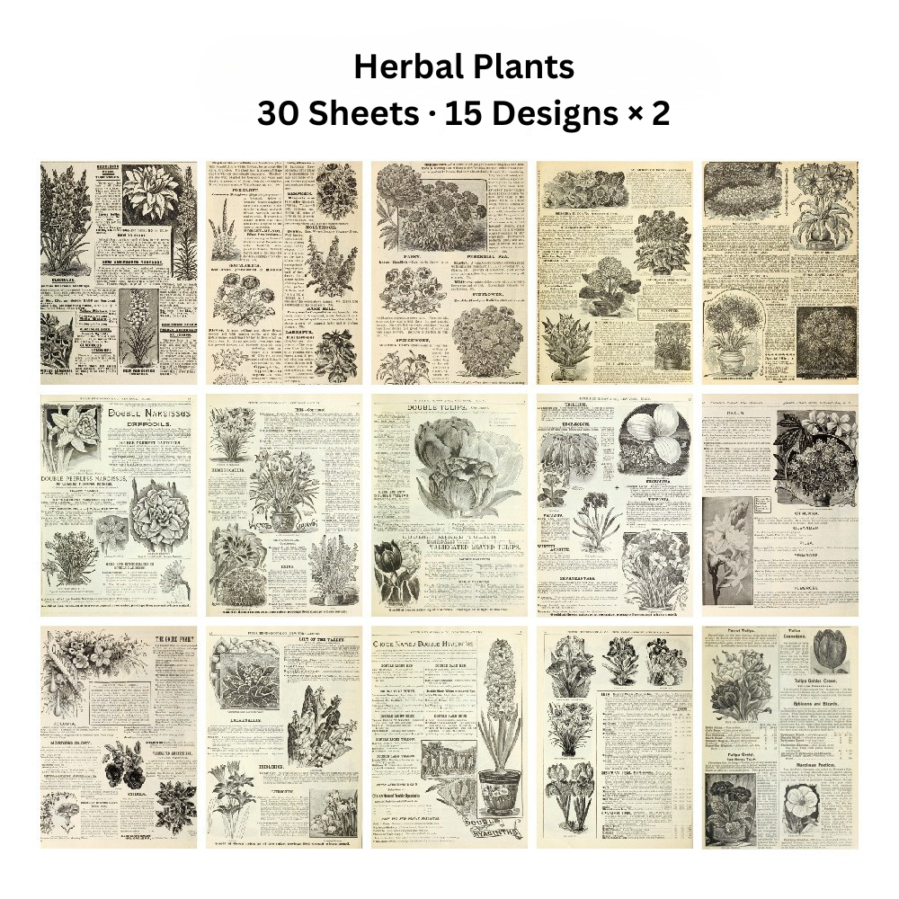 Echoes of the Archive Background Paper Set, 30 Sheets