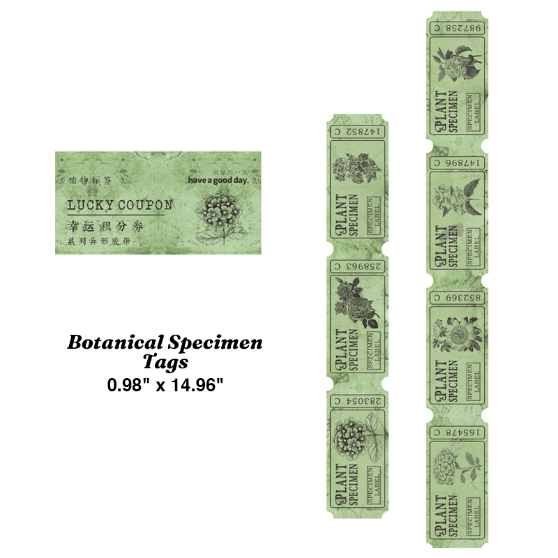 Antique Archive Die Cut Ticket Washi Tape