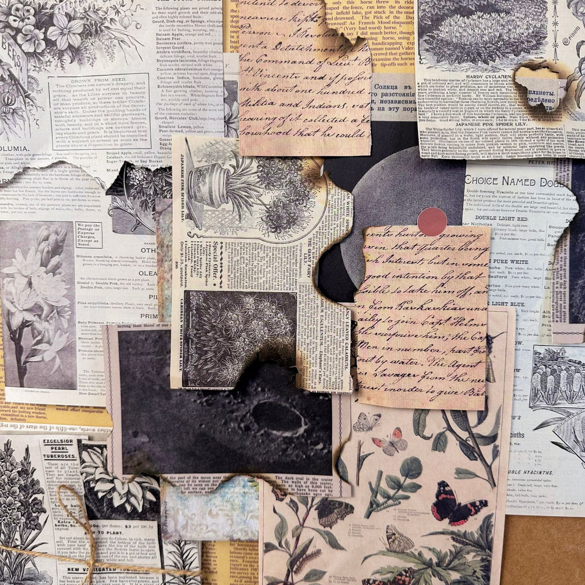 Echoes of the Archive Background Paper Set, 30 Sheets