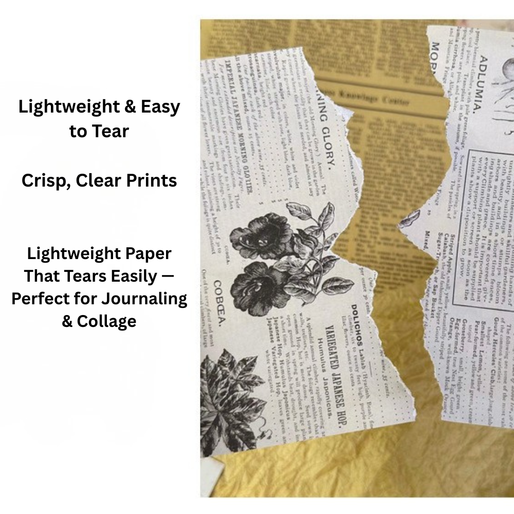 Echoes of the Archive Background Paper Set, 30 Sheets
