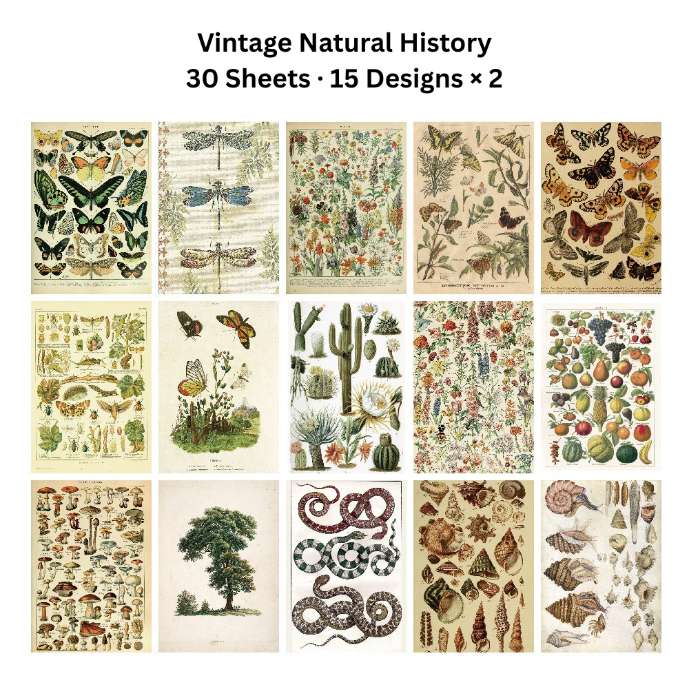 Echoes of the Archive Background Paper Set, 30 Sheets